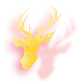 Rusa TED